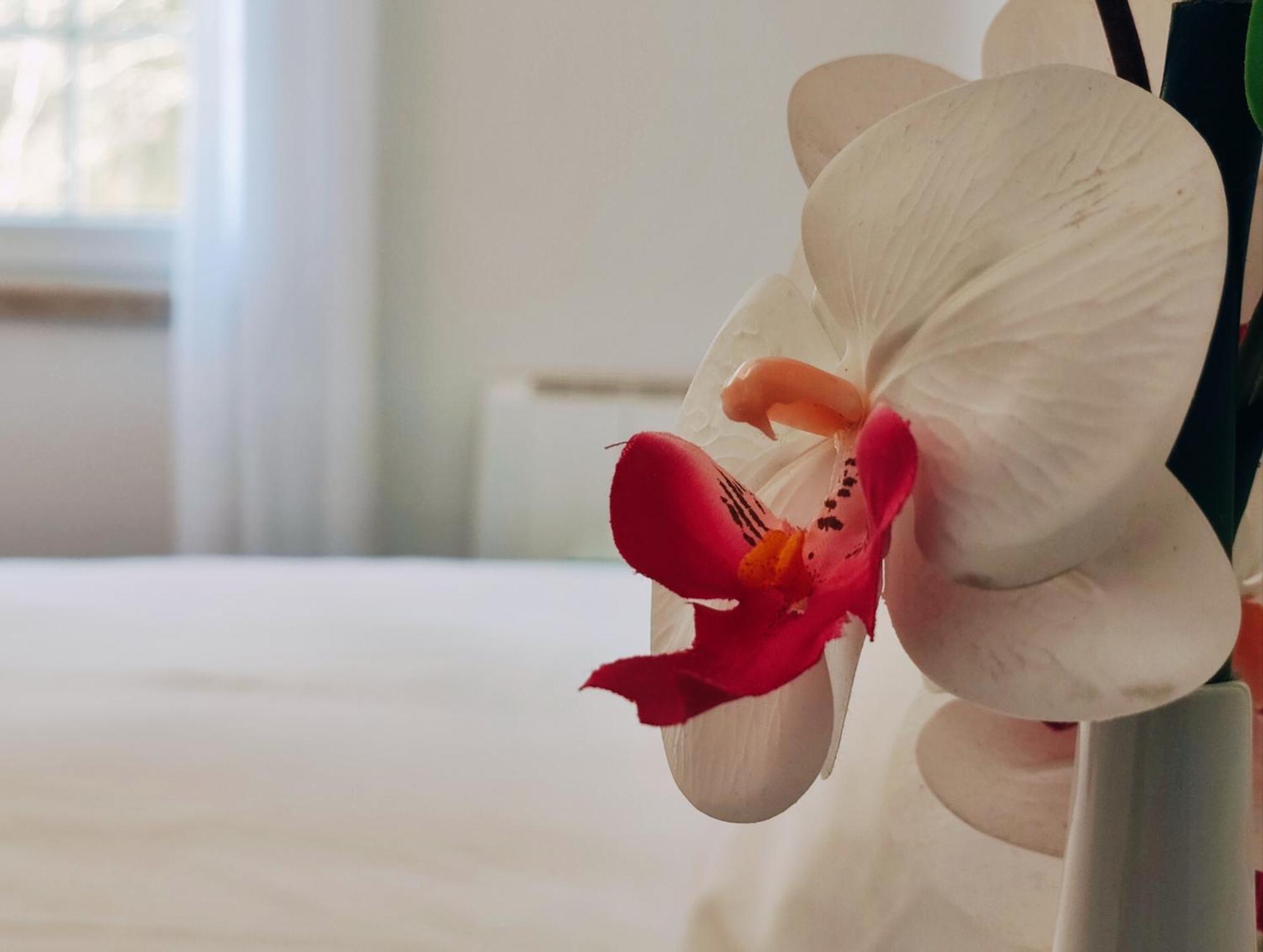 Casa Pinto Villa Linhares de Cima Ngoại thất bức ảnh